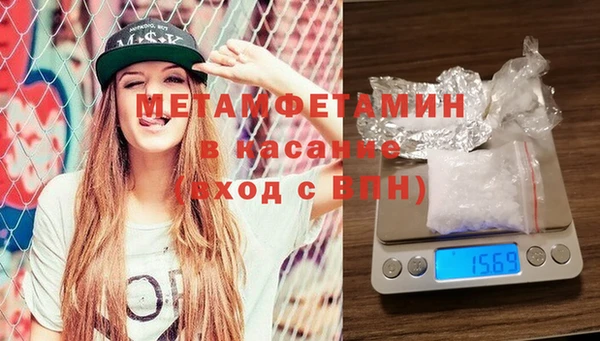 твердый Бородино