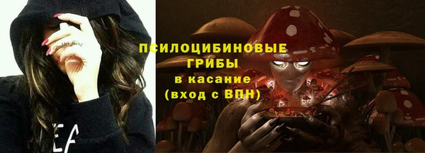 твердый Бородино