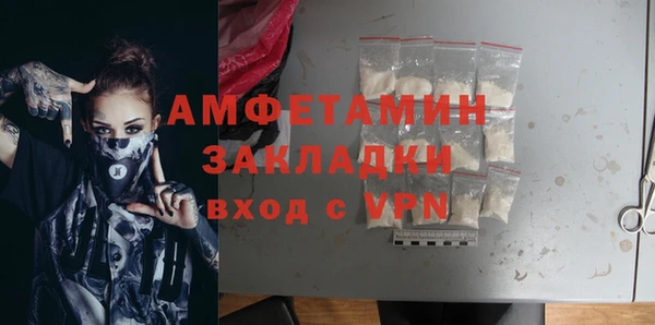 твердый Бородино