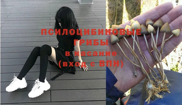 твердый Бородино