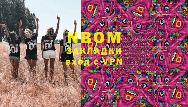 твердый Бородино