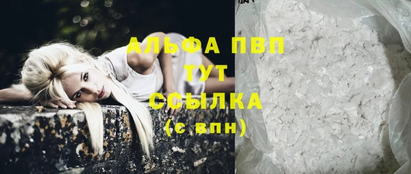 твердый Бородино