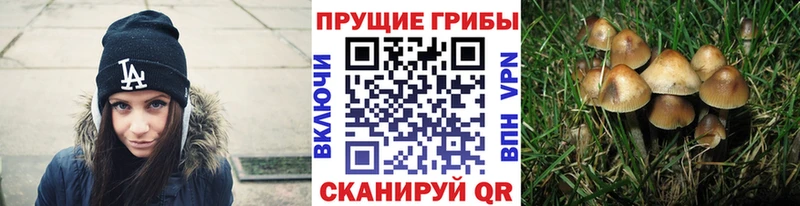 shop как зайти  Мегион  Галлюциногенные грибы мухоморы 